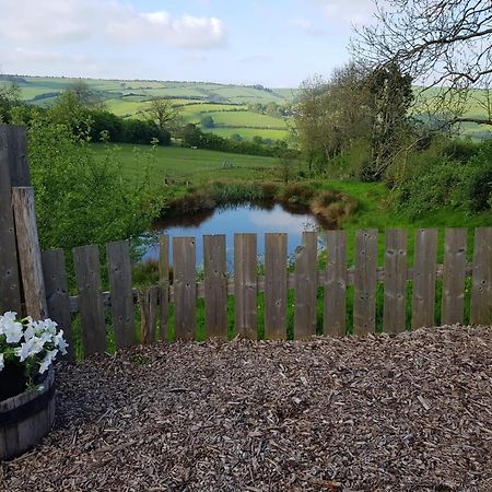 Eco Accommodation Cornflower Craven Arms Bagian luar foto