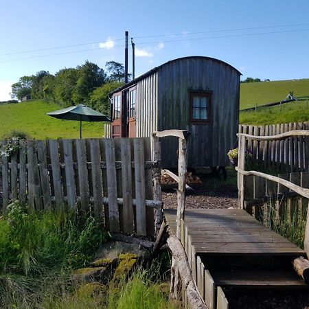 Eco Accommodation Cornflower Craven Arms Bagian luar foto