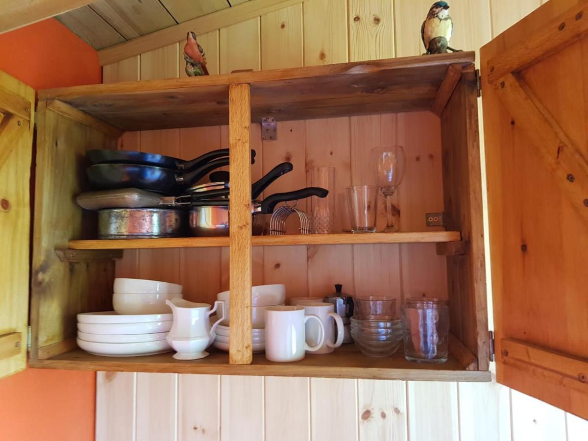 Eco Accommodation Cornflower Craven Arms Bagian luar foto