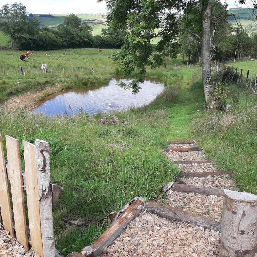 Eco Accommodation Cornflower Craven Arms Bagian luar foto
