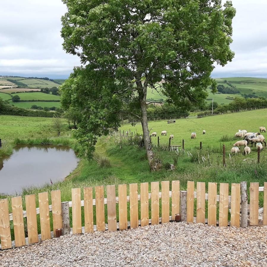 Eco Accommodation Cornflower Craven Arms Bagian luar foto