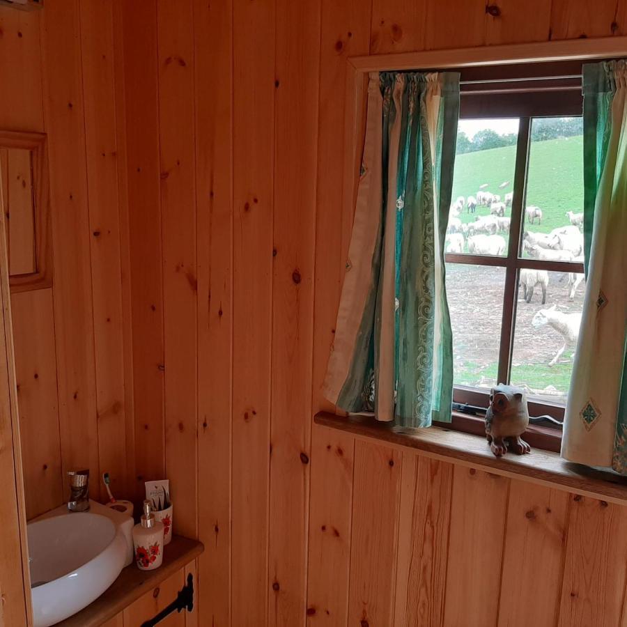 Eco Accommodation Cornflower Craven Arms Bagian luar foto