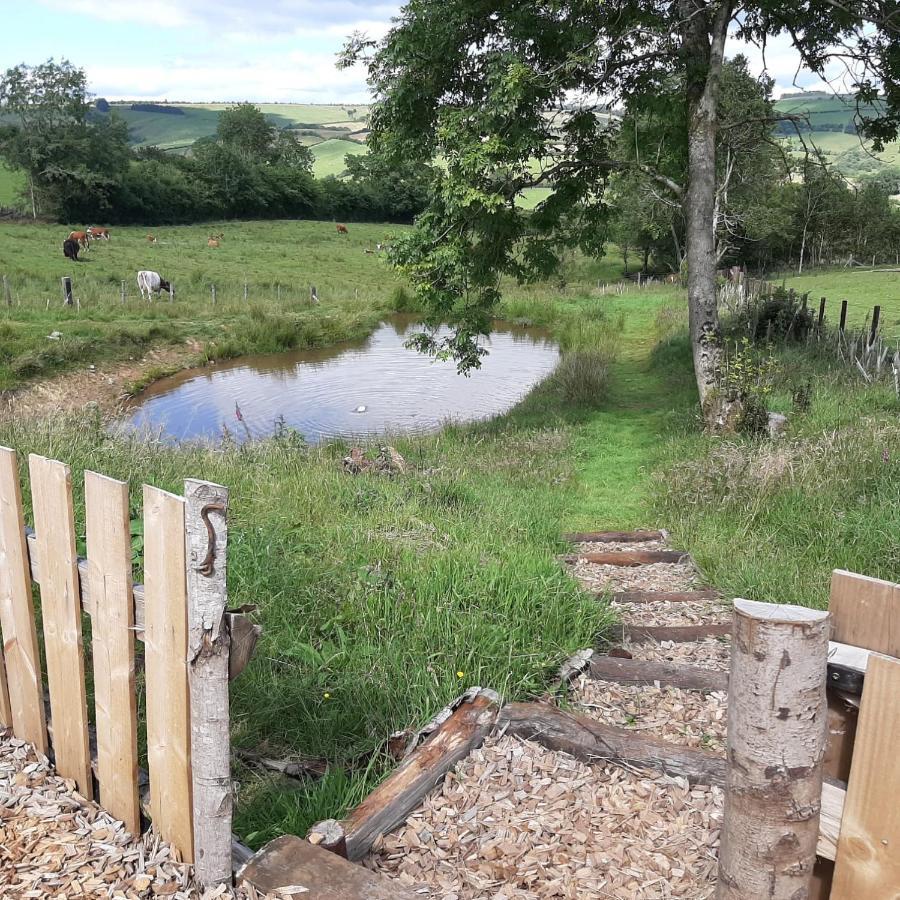 Eco Accommodation Cornflower Craven Arms Bagian luar foto