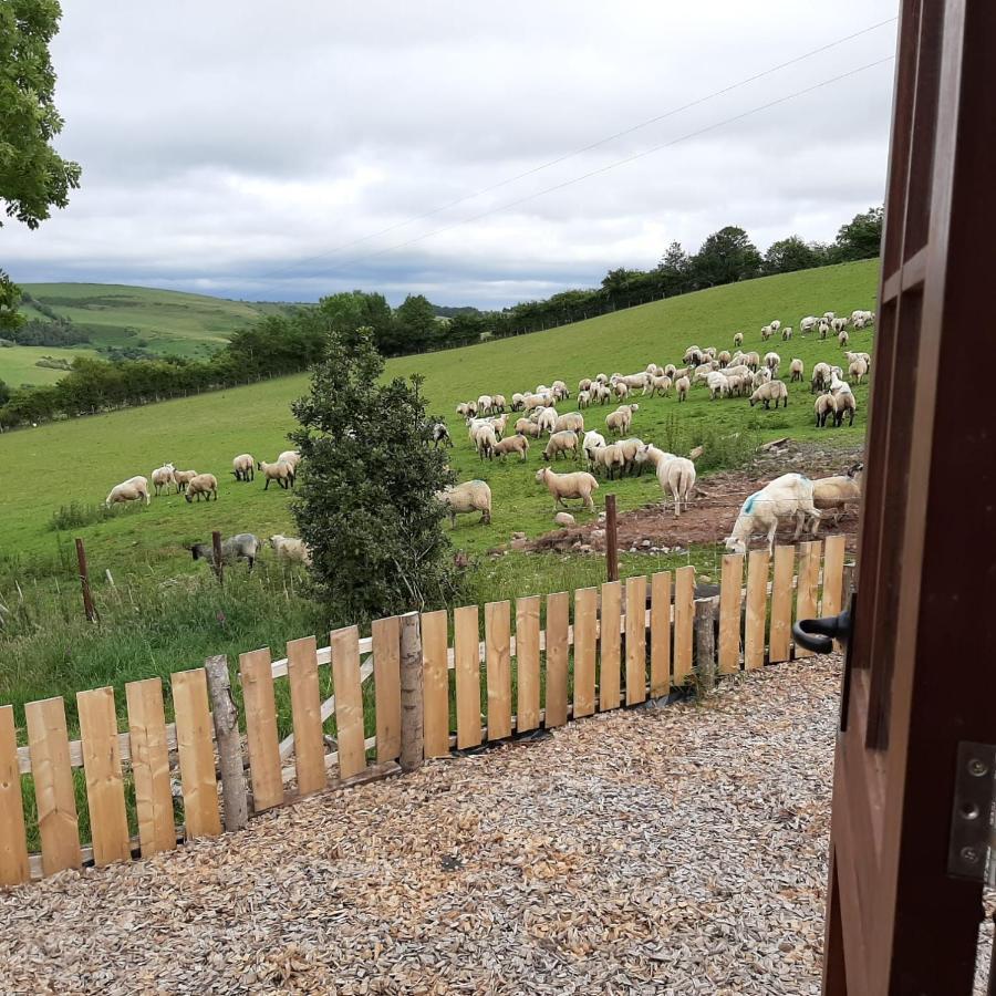 Eco Accommodation Cornflower Craven Arms Bagian luar foto