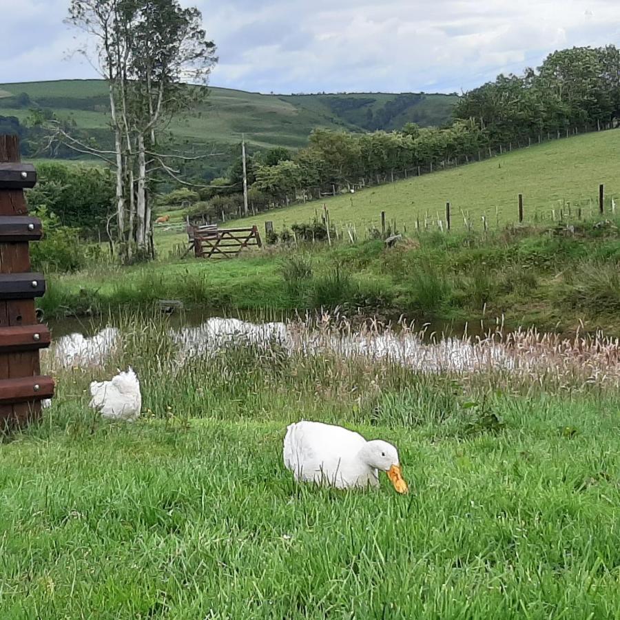 Eco Accommodation Cornflower Craven Arms Bagian luar foto