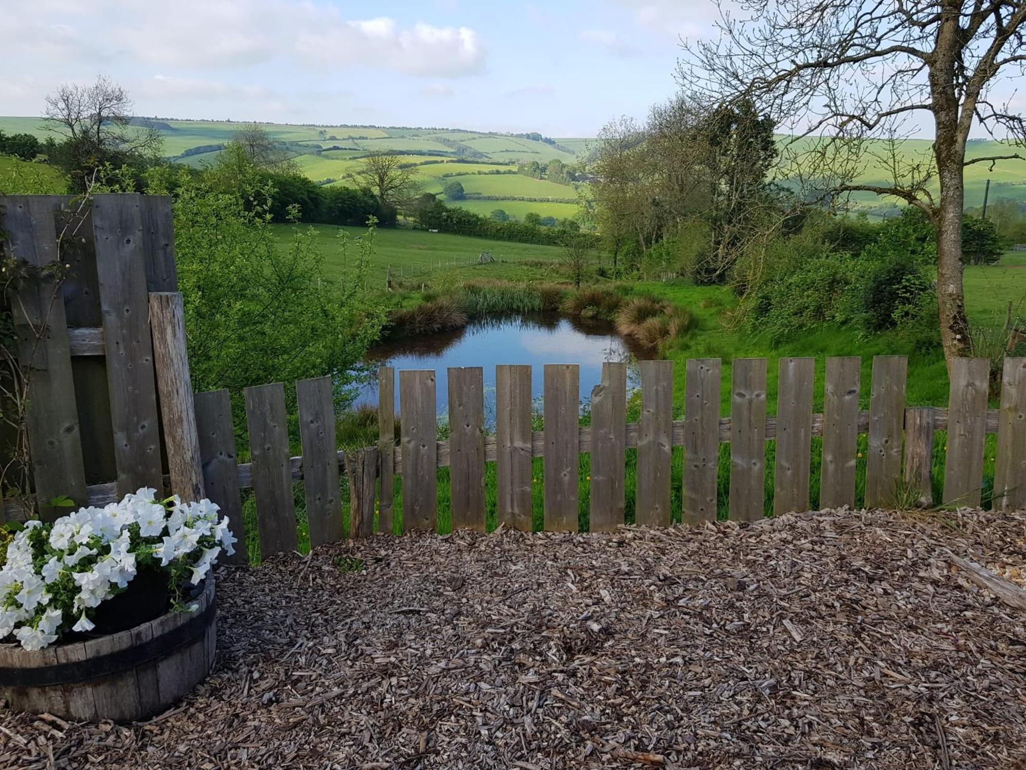 Eco Accommodation Cornflower Craven Arms Bagian luar foto