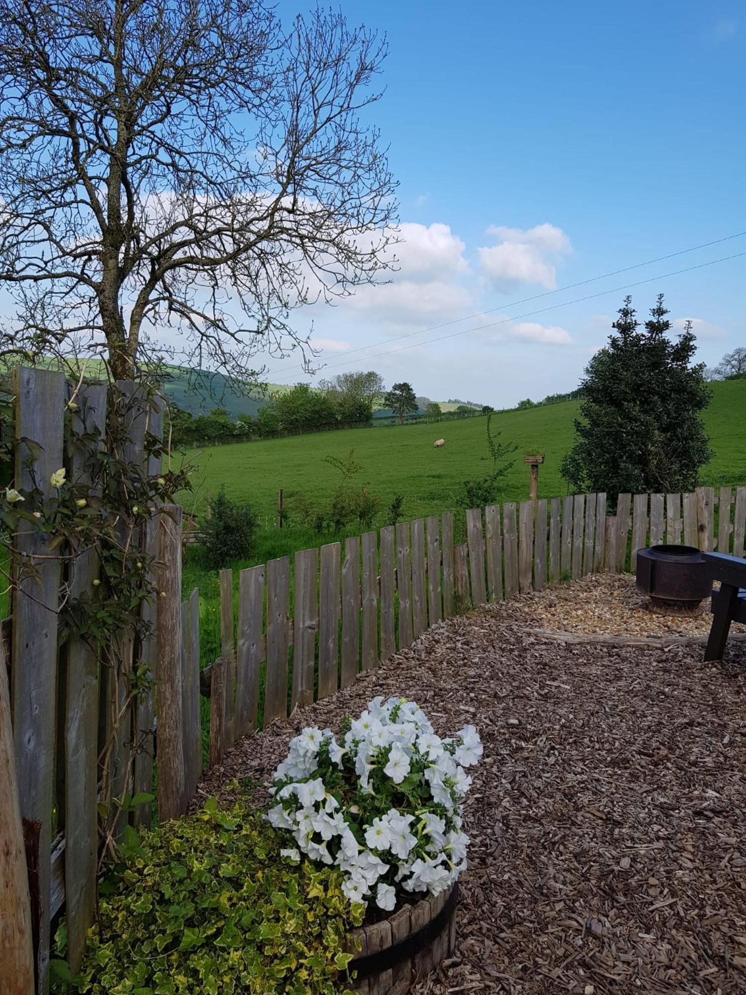 Eco Accommodation Cornflower Craven Arms Bagian luar foto