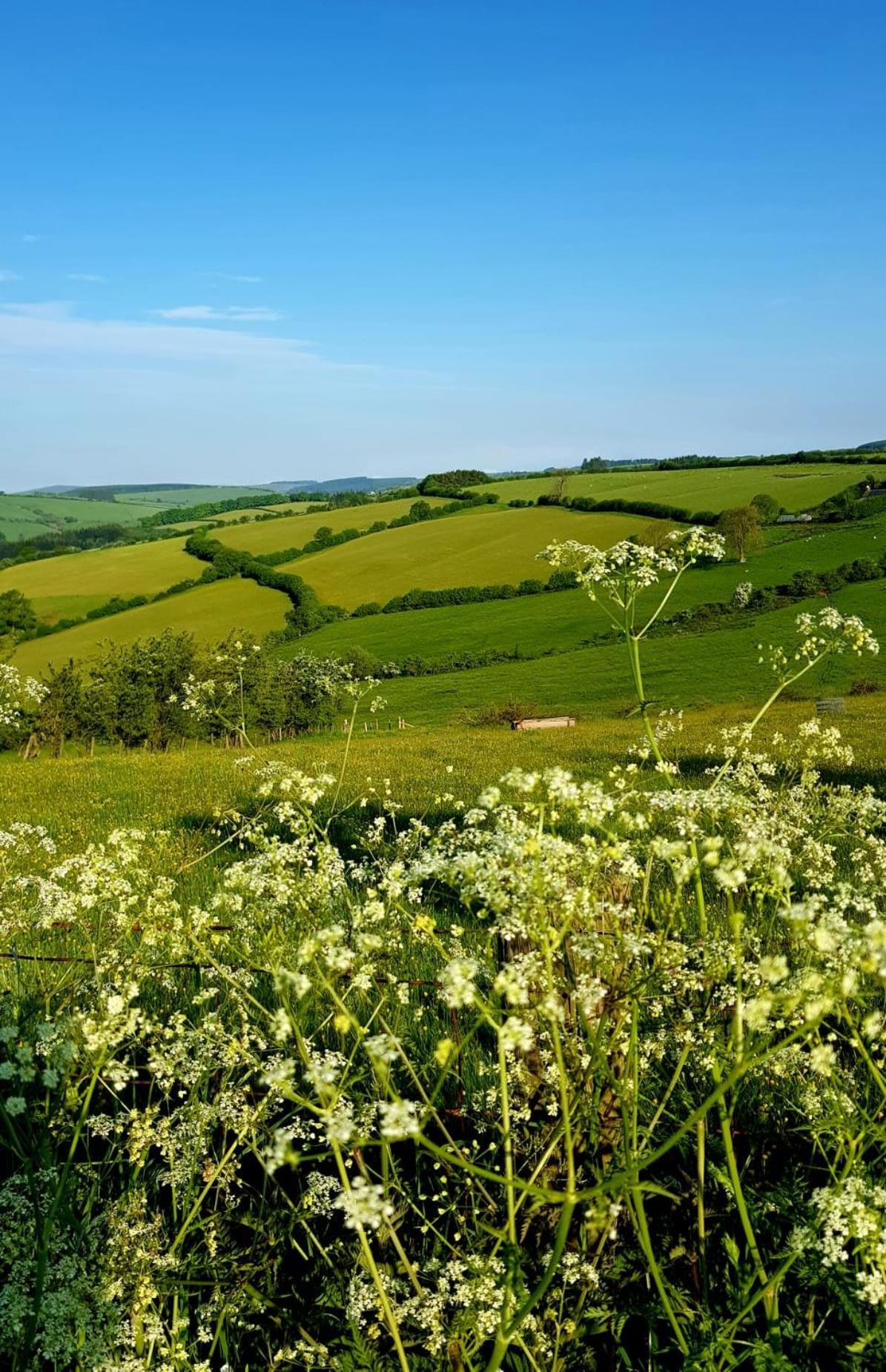 Eco Accommodation Cornflower Craven Arms Bagian luar foto