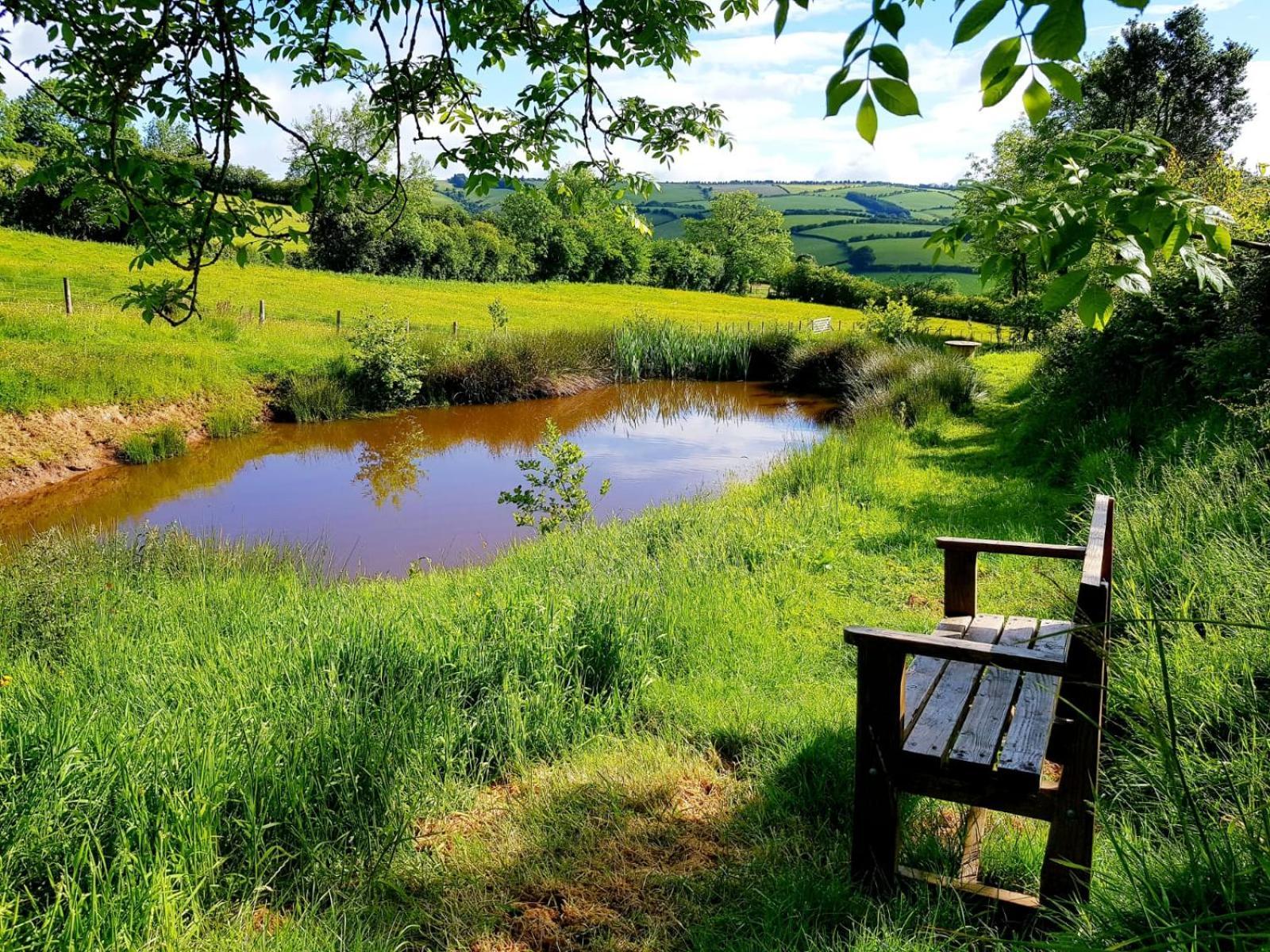Eco Accommodation Cornflower Craven Arms Bagian luar foto